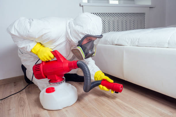 Best Local Pest Control Services  in Burlington, KY