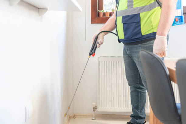 Best Rat Extermination Near Me  in Burlington, KY