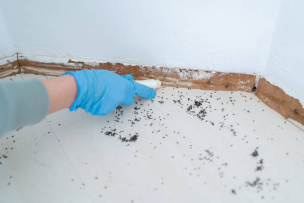 Wildlife Control Services in Burlington, KY