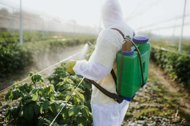 Best Pest Control Near Me  in Burlington, KY